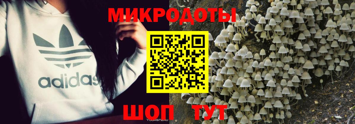 Псилоцибиновые грибы мицелий  Вход с VPN  Полевской 